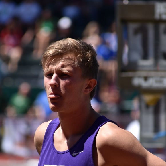 Meet your Posher, Dakota - Picture 1 of 1